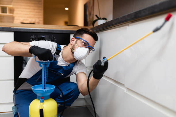 Best Exterminator Services  in Summitville, IN
