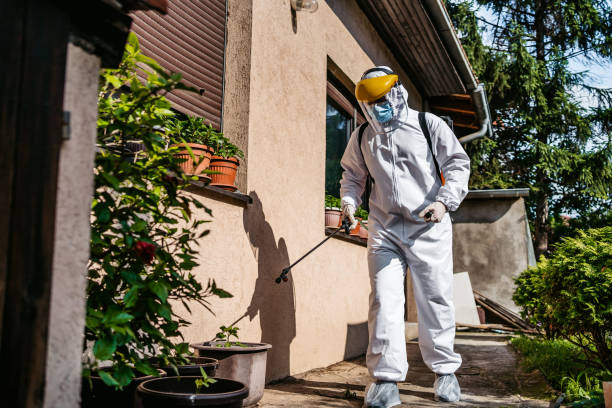 Best Pest Removal Services  in Summitville, IN