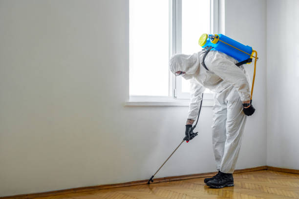 Professional Pest Control in Summitville, IN