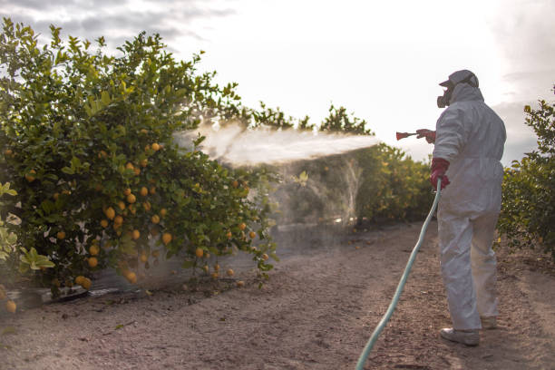 Pest Control Cost in Summitville, IN