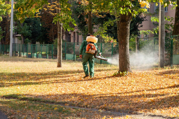 Best Spider Control Near Me  in Summitville, IN