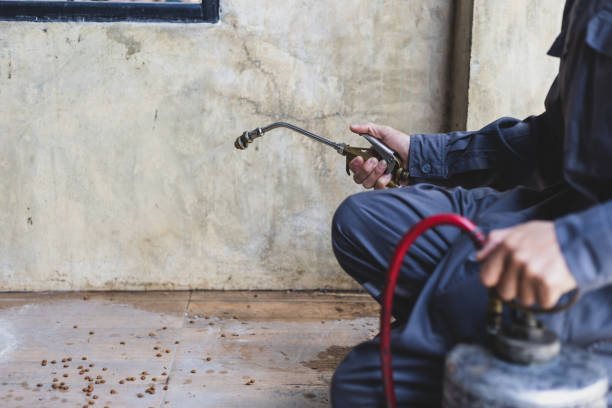 Best Pest Prevention Services  in Summitville, IN