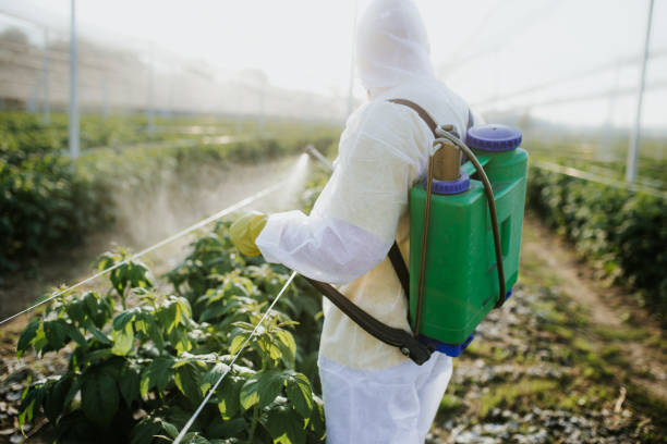 Best Pest Inspection Near Me  in Summitville, IN